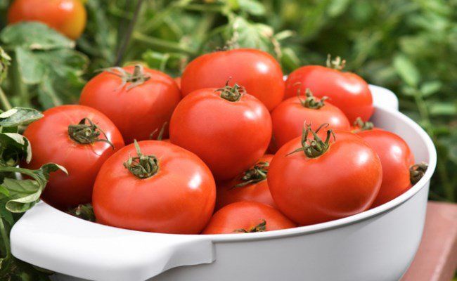 Tomates acidulées