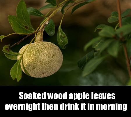 feuilles de pomme de bois