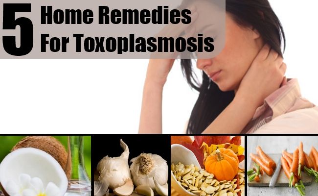 5 remèdes efficaces à domicile pour la toxoplasmose