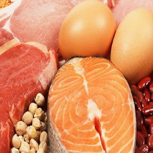 les aliments riches en protéines, les œufs