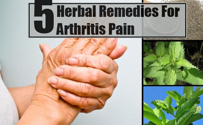 5 remèdes à base de plantes pour les douleurs de l'arthrite
