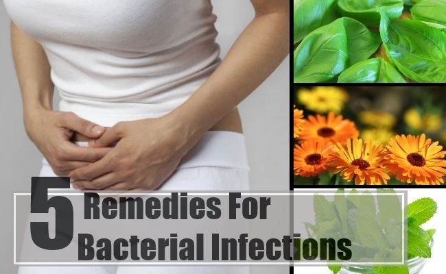 5 remèdes à base de plantes pour les infections bactériennes