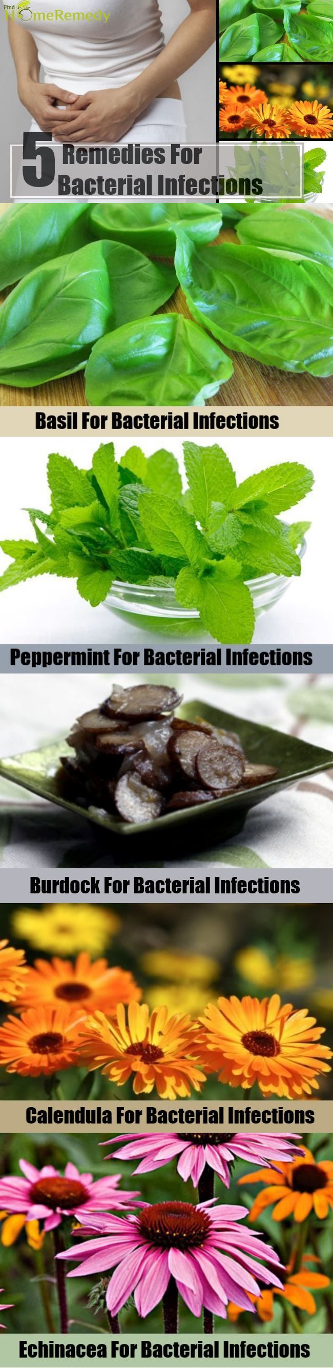 5 remèdes pour Infections bactériennes