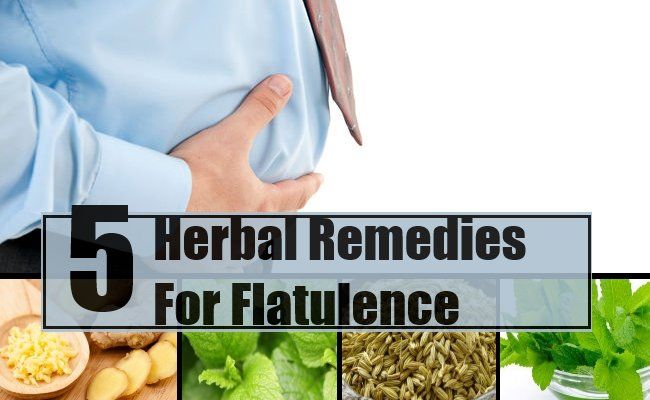 5 remèdes à base de plantes pour les flatulences