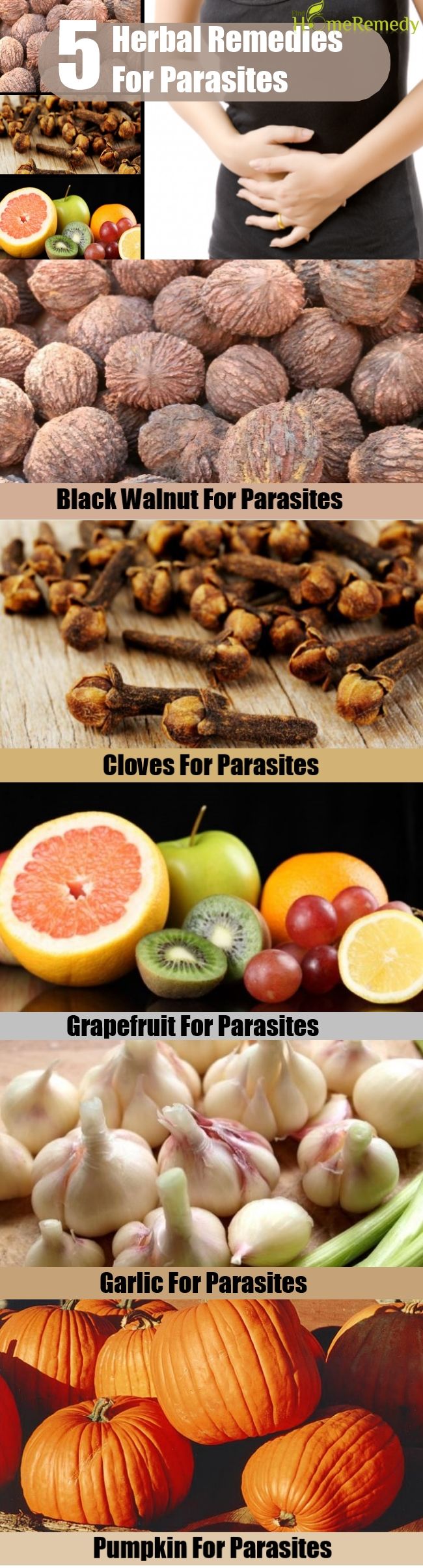 5 Remèdes naturels pour les parasites