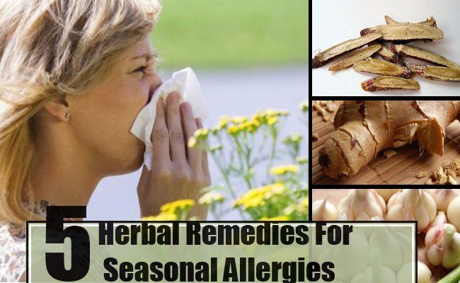 5 remèdes à base de plantes pour les allergies saisonnières
