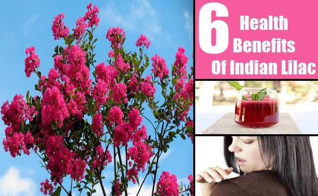 6 avantages étonnants santé de Indian Lilas