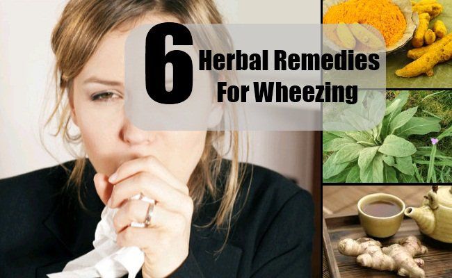 6 remèdes à base de plantes pour la respiration sifflante