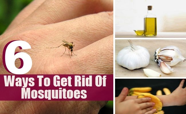 6 façons de se débarrasser des moustiques