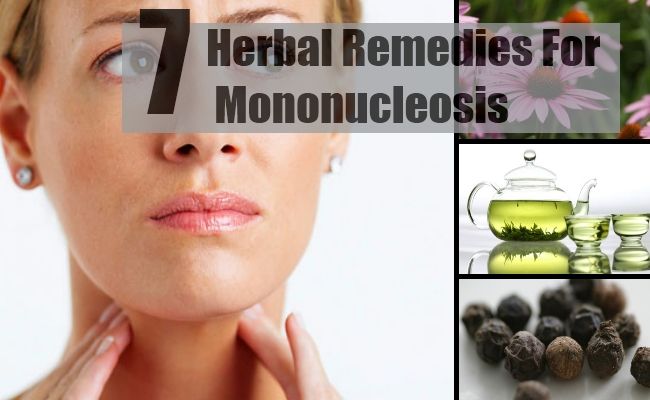 7 remèdes à base de plantes pour la mononucléose