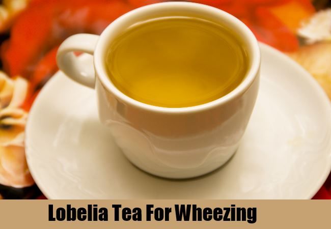 Lobelia thé