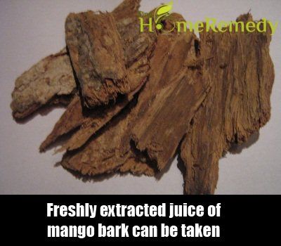 Mango Bark