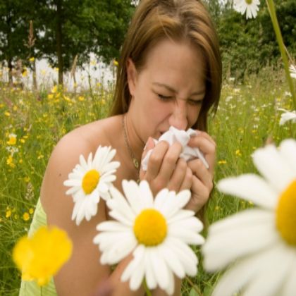 Comment guérir les allergies