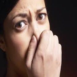 Comment prévenir la mauvaise haleine