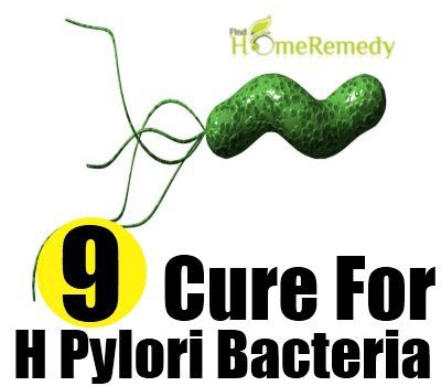 Remède naturel pour les bactéries h pylori