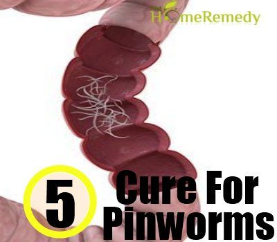 Pinworm
