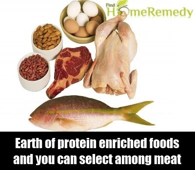 Aliments riches en protéines