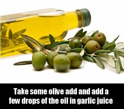 Olive Oilo