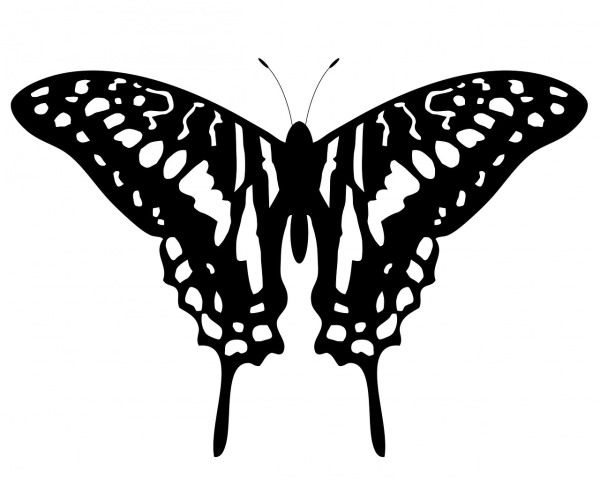 tatouage de papillon